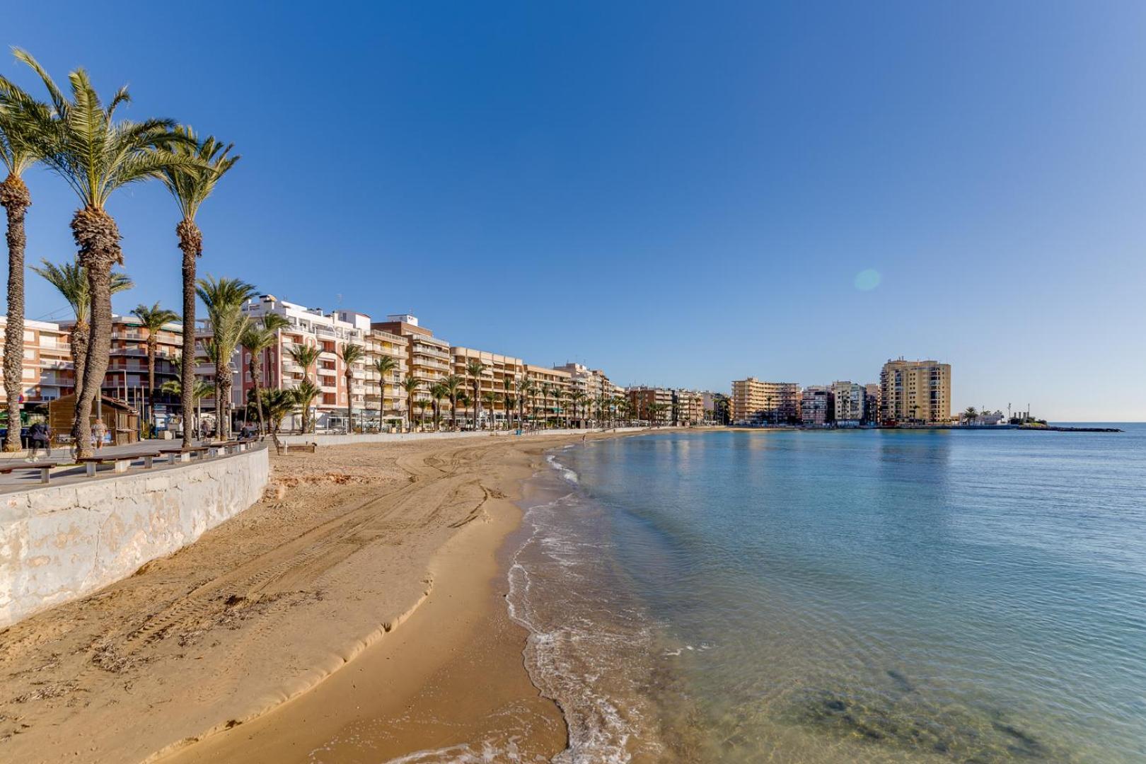 Apartamento Concordia Lejlighed Torrevieja Eksteriør billede