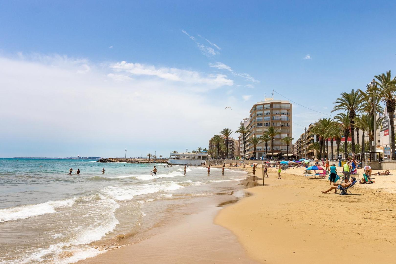 Apartamento Concordia Lejlighed Torrevieja Eksteriør billede