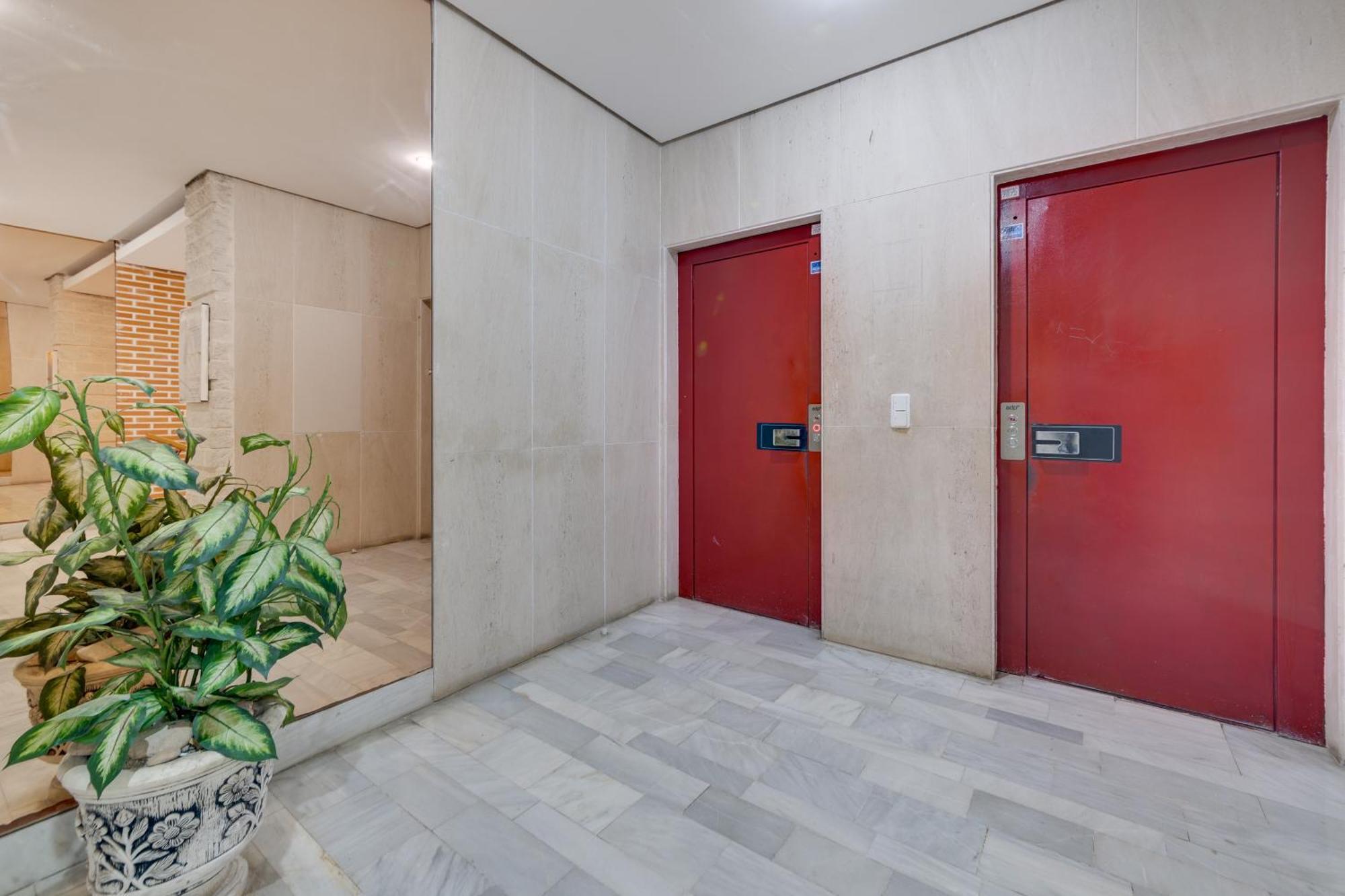 Apartamento Concordia Lejlighed Torrevieja Eksteriør billede