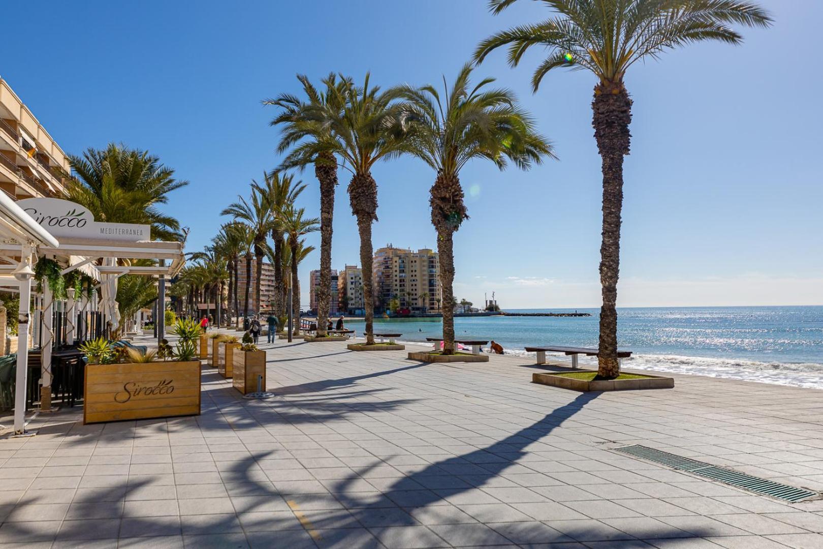 Apartamento Concordia Lejlighed Torrevieja Eksteriør billede