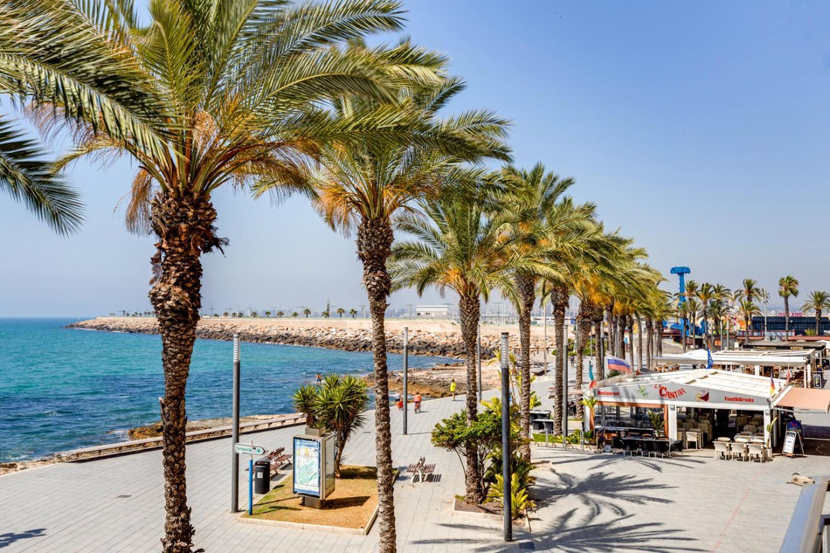 Apartamento Concordia Lejlighed Torrevieja Eksteriør billede