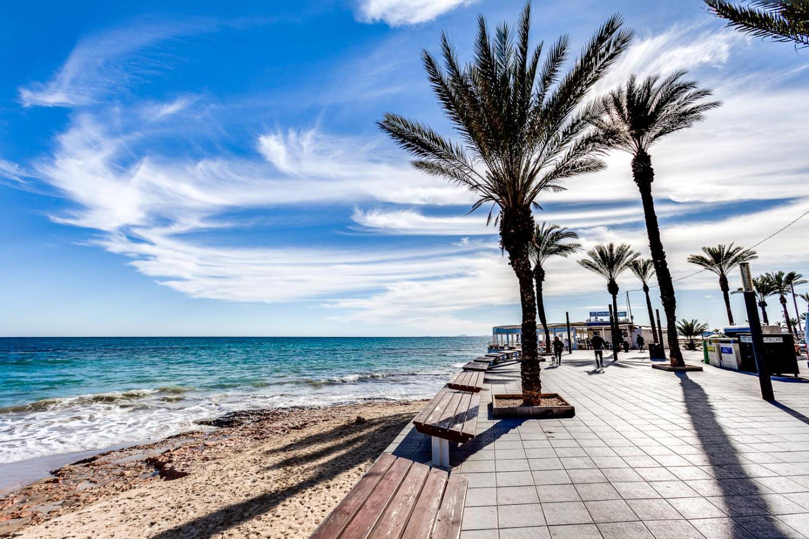 Apartamento Concordia Lejlighed Torrevieja Eksteriør billede