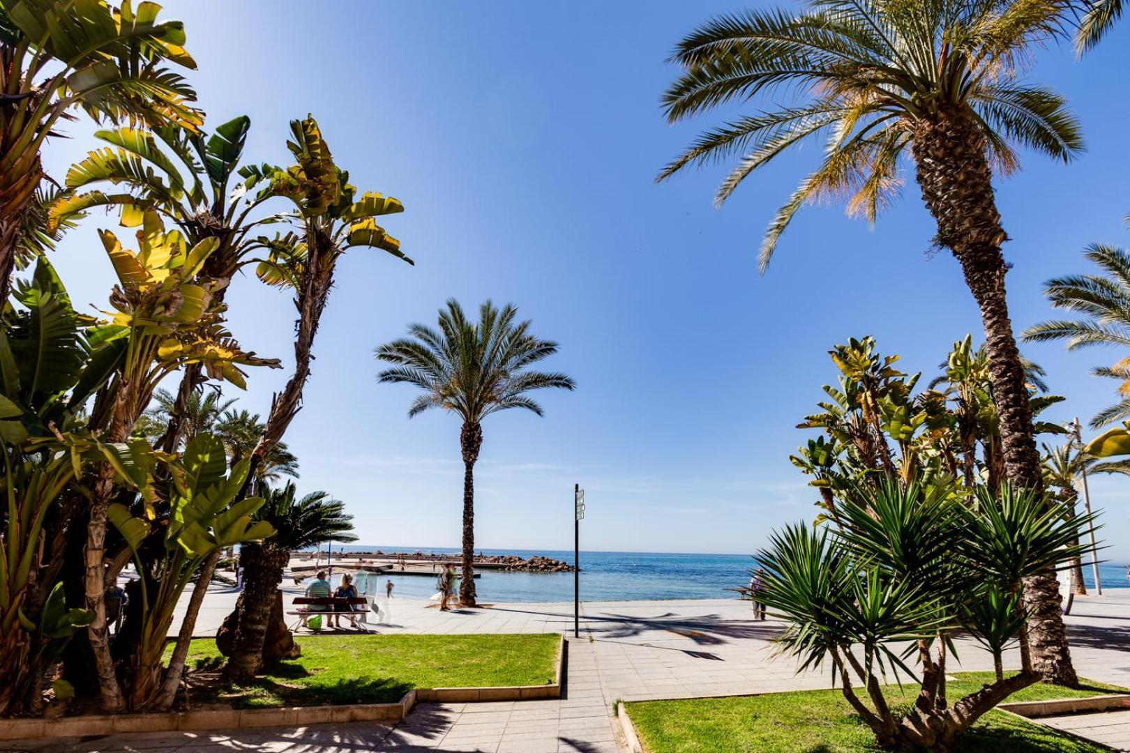 Apartamento Concordia Lejlighed Torrevieja Eksteriør billede